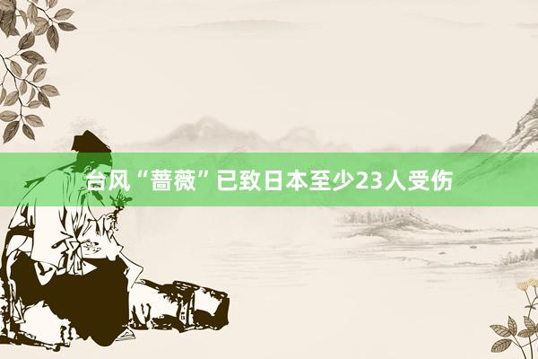 台风“蔷薇”已致日本至少23人受伤