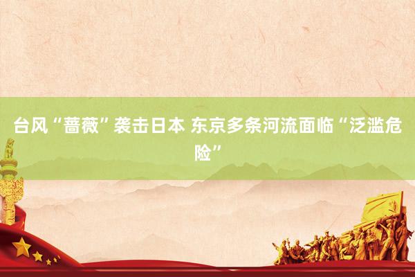 台风“蔷薇”袭击日本 东京多条河流面临“泛滥危险”