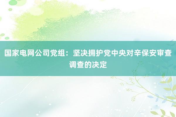 国家电网公司党组：坚决拥护党中央对辛保安审查调查的决定