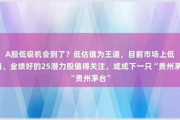 A股低吸机会到了？低估值为王道，目前市场上低估值、业绩好的25潜力股值得关注，或成下一只“贵州茅台”