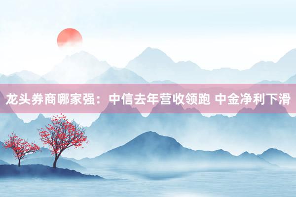 龙头券商哪家强：中信去年营收领跑 中金净利下滑