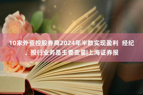 10家外资控股券商2024年半数实现盈利  经纪、投行业务是主要变量|上海证券报
