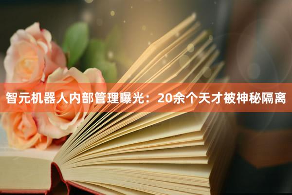 智元机器人内部管理曝光：20余个天才被神秘隔离
