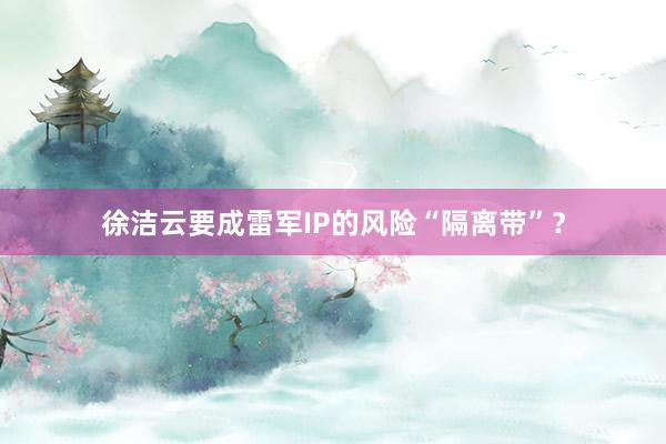 徐洁云要成雷军IP的风险“隔离带”？