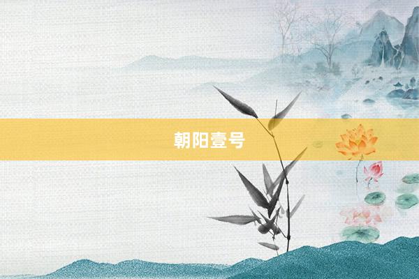 朝阳壹号