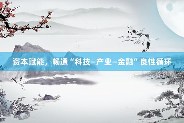 资本赋能，畅通“科技—产业—金融”良性循环