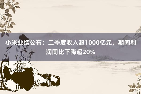 小米业绩公布：二季度收入超1000亿元，期间利润同比下降超20%
