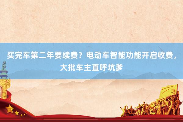 买完车第二年要续费？电动车智能功能开启收费，大批车主直呼坑爹