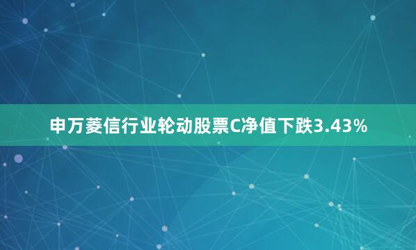 申万菱信行业轮动股票C净值下跌3.43%
