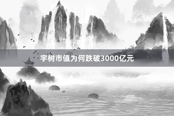 宇树市值为何跌破3000亿元