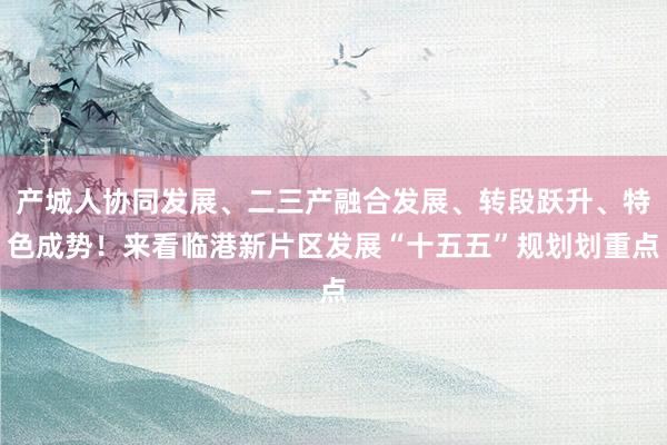 产城人协同发展、二三产融合发展、转段跃升、特色成势！来看临港新片区发展“十五五”规划划重点