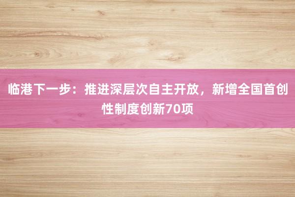 临港下一步：推进深层次自主开放，新增全国首创性制度创新70项