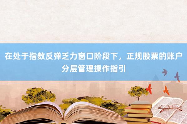 在处于指数反弹乏力窗口阶段下，正规股票的账户分层管理操作指引