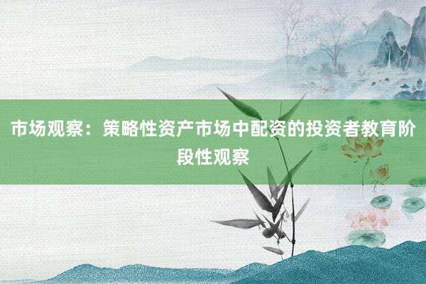 市场观察：策略性资产市场中配资的投资者教育阶段性观察