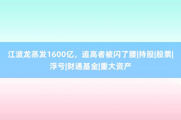 江波龙蒸发1600亿，追高者被闪了腰|持股|股票|浮亏|财通基金|重大资产