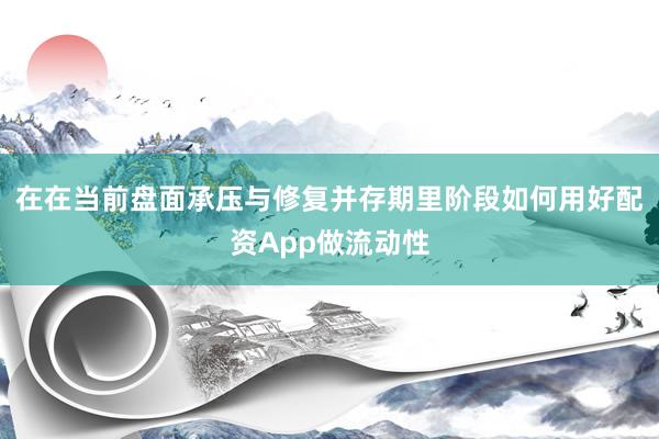 在在当前盘面承压与修复并存期里阶段如何用好配资App做流动性