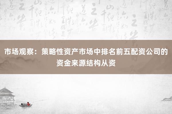 市场观察：策略性资产市场中排名前五配资公司的资金来源结构从资