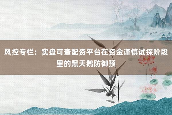 风控专栏：实盘可查配资平台在资金谨慎试探阶段里的黑天鹅防御预