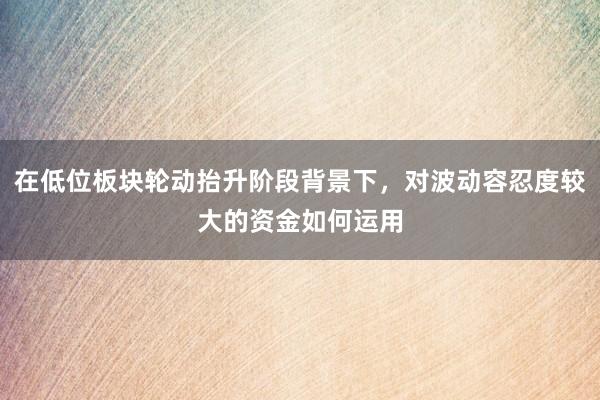 在低位板块轮动抬升阶段背景下，对波动容忍度较大的资金如何运用