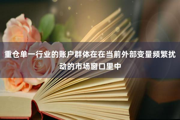 重仓单一行业的账户群体在在当前外部变量频繁扰动的市场窗口里中