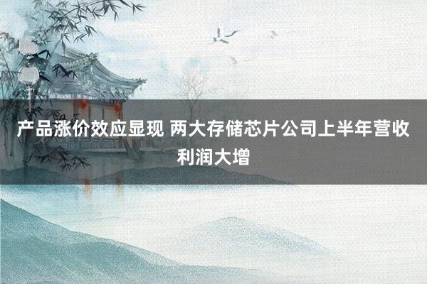 产品涨价效应显现 两大存储芯片公司上半年营收利润大增