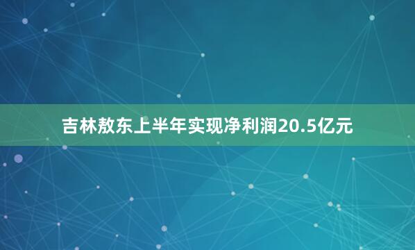 吉林敖东上半年实现净利润20.5亿元