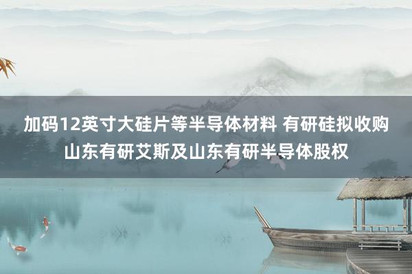 加码12英寸大硅片等半导体材料 有研硅拟收购山东有研艾斯及山东有研半导体股权