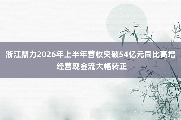 浙江鼎力2026年上半年营收突破54亿元同比高增 经营现金流大幅转正