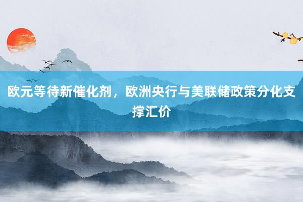 欧元等待新催化剂，欧洲央行与美联储政策分化支撑汇价