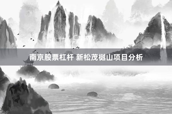 南京股票杠杆 新松茂樾山项目分析