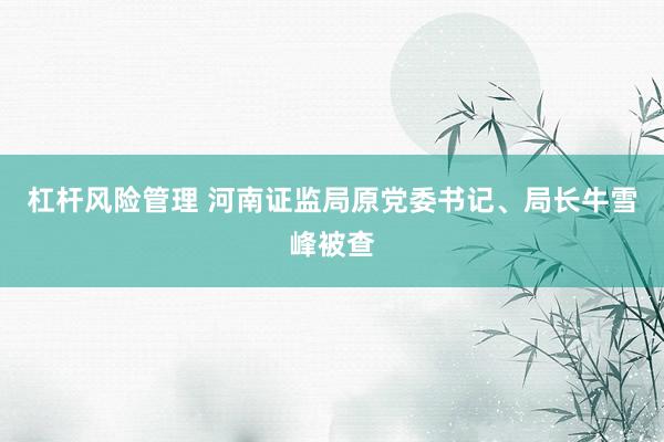 杠杆风险管理 河南证监局原党委书记、局长牛雪峰被查