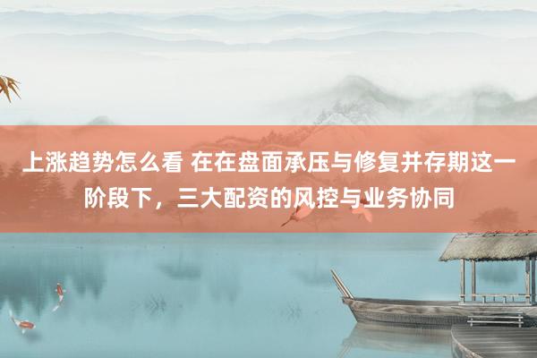 上涨趋势怎么看 在在盘面承压与修复并存期这一阶段下，三大配资的风控与业务协同