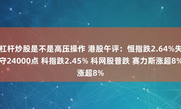 杠杆炒股是不是高压操作 港股午评：恒指跌2.64%失守24000点 科指跌2.45% 科网股普跌 赛力斯涨超8%
