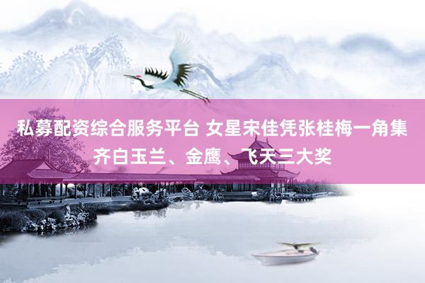 私募配资综合服务平台 女星宋佳凭张桂梅一角集齐白玉兰、金鹰、飞天三大奖