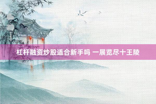 杠杆融资炒股适合新手吗 一展览尽十王陵